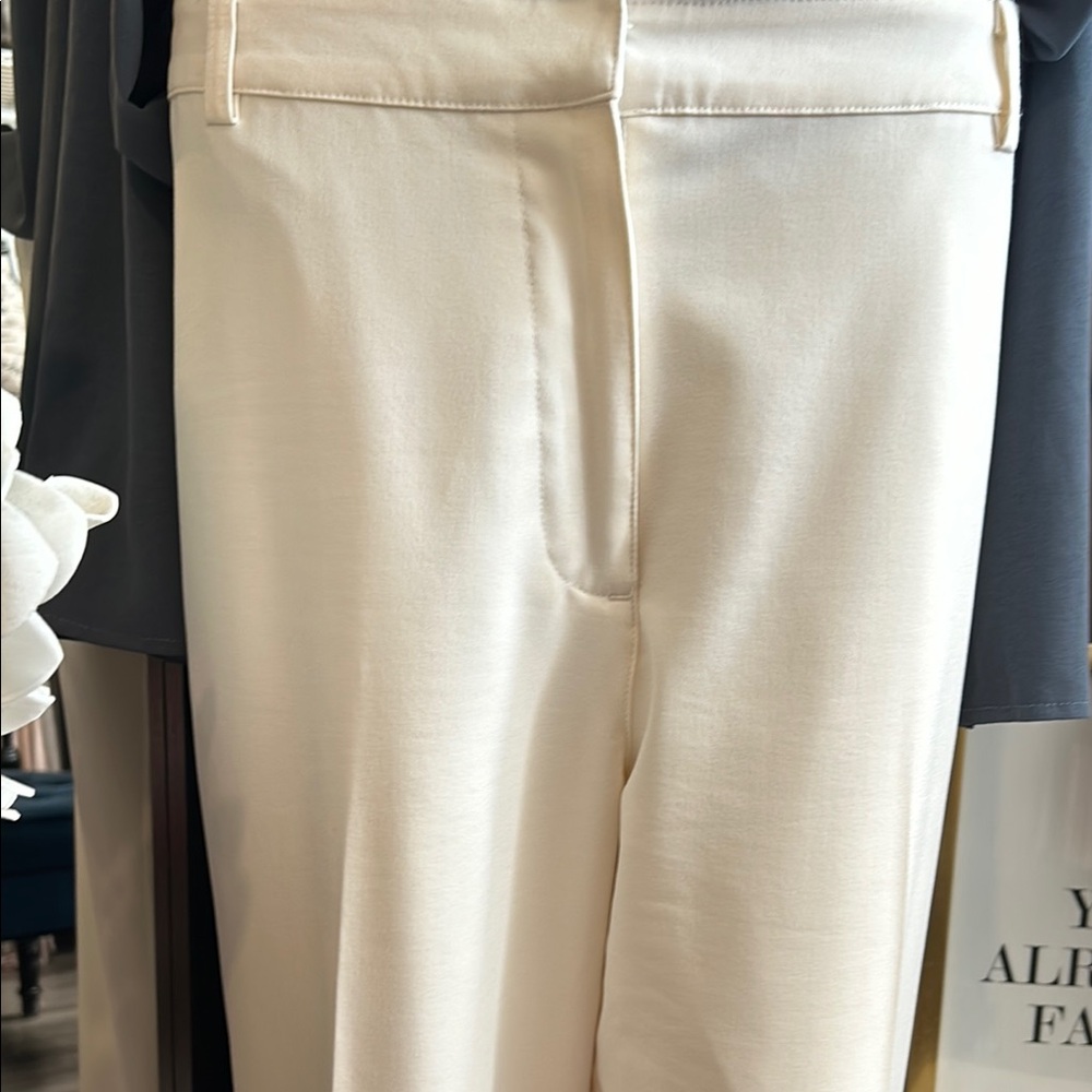 Jaclyn Smith, Cream Wide Leg pants with Sophisticated Silhouette. In size 18 - Picture 3 of 13